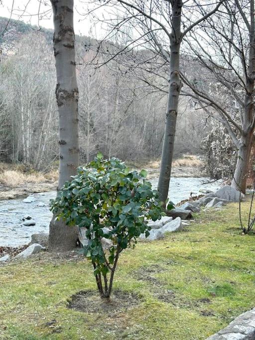 Acogedor En Martinet, Cerdanya, Puigcerda Appartement Martinet